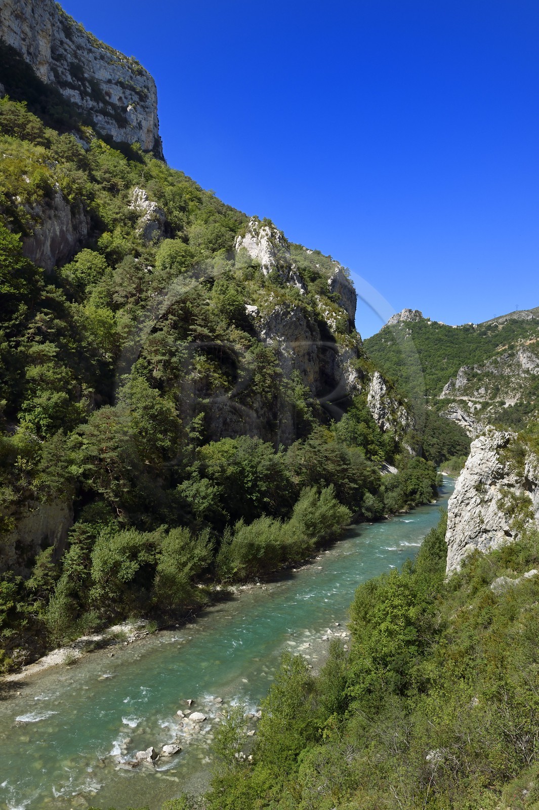 Var (83) rive gauche et Alpes-de-Haute-Provence (04) rive droite, Parc Naturel Régional du Verdon, les Gorges du Verdon sous la Barre de l'Aigle à Rougon