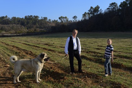 France, Var (83), Provence Verte, Bras, vers Saint-Maximin-la-Sainte-Baume, la maison d'hôtes Le Peyrourier, une campagne en Provence