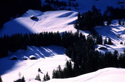 Suisse, région de Bern (Oberland Bernois), Grindelwald