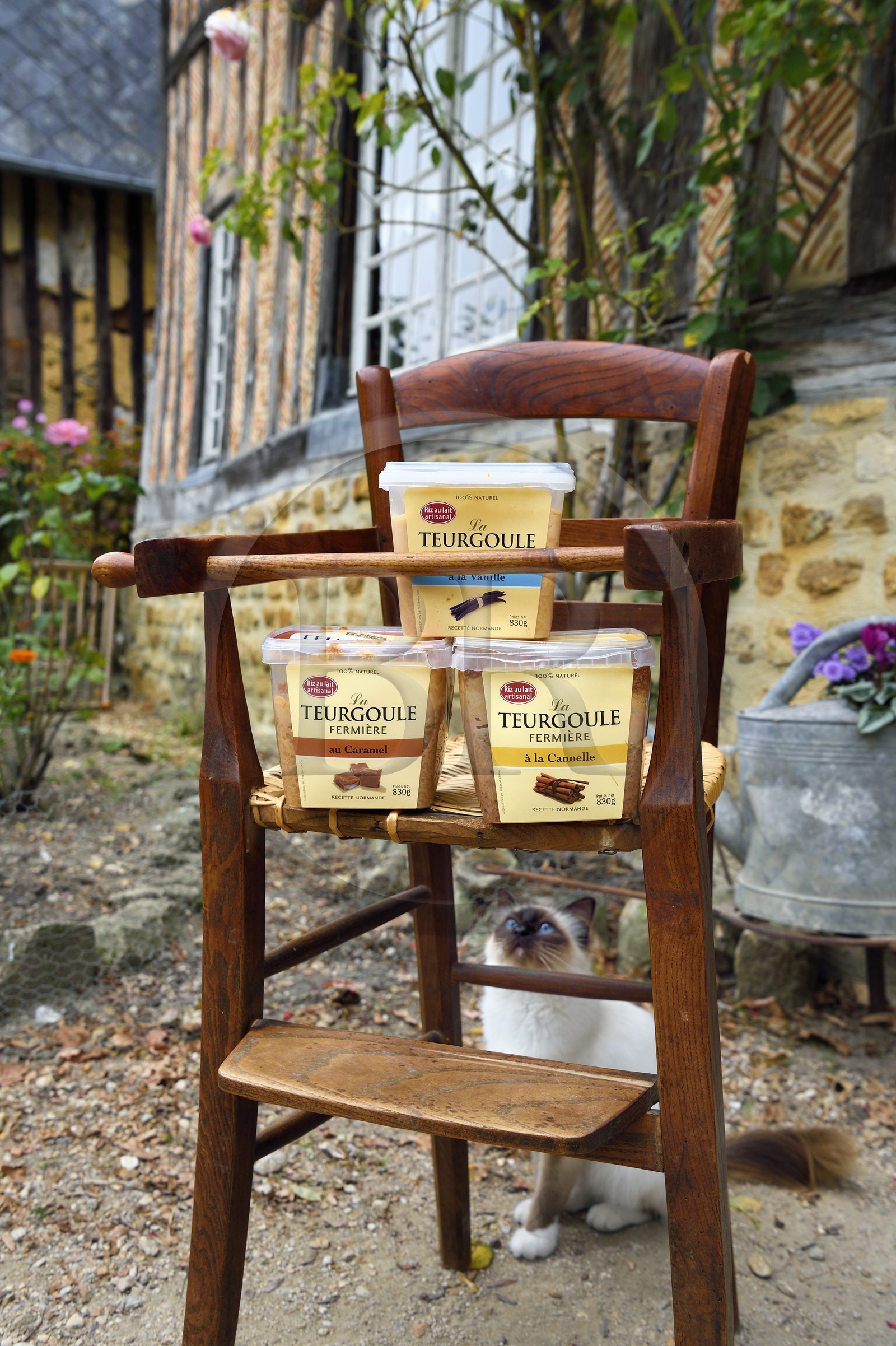 France, Calvados (14), Pays d'Auge, Cambremer, la ferme des Mondeaux, producteur de Teurgoule, dessert fait de riz au lait sucré généralement parfumé à la cannelle