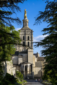 France, Vaucluse, Avignon, the Doms Cathedral listed as World heritage by UNESCO