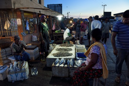 Sri Lanka, Province de l'Ouest, Negombo, vente de la peche de la nuit à la halle aux poisson du port