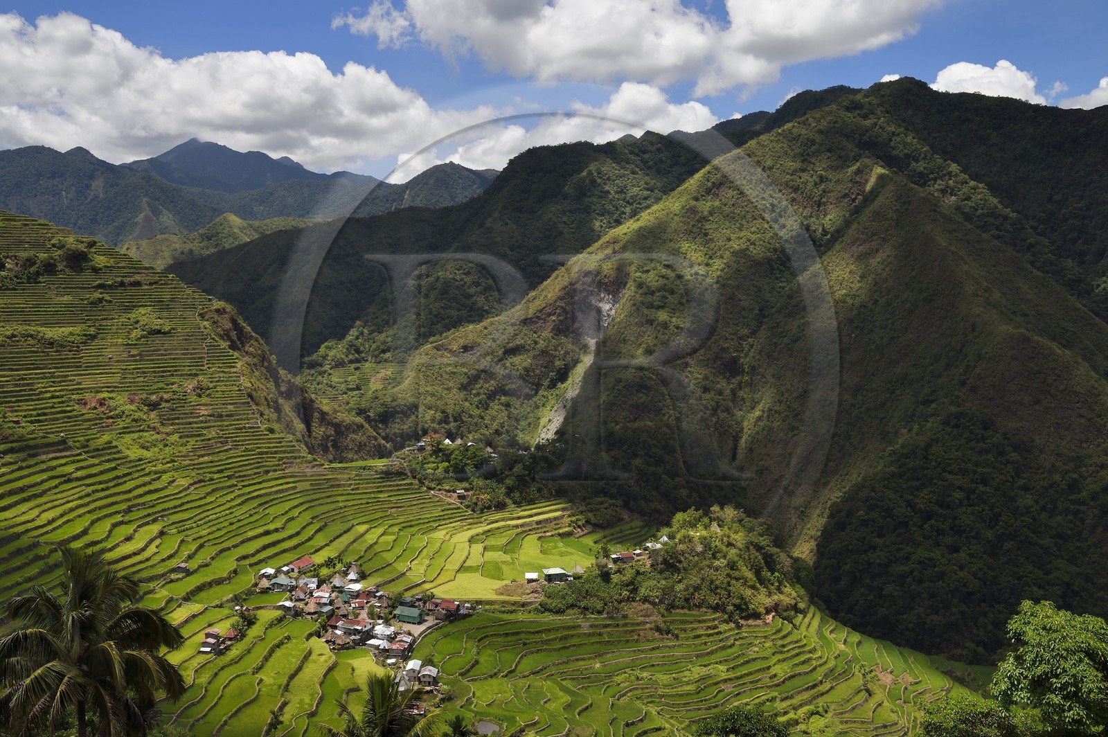 Philippines, Ifugao province, Banaue rice terraces around the village of Batad, listed as World Heritage by UNESCO, fed by an ancient irrigation system from the rainforests above the terraces