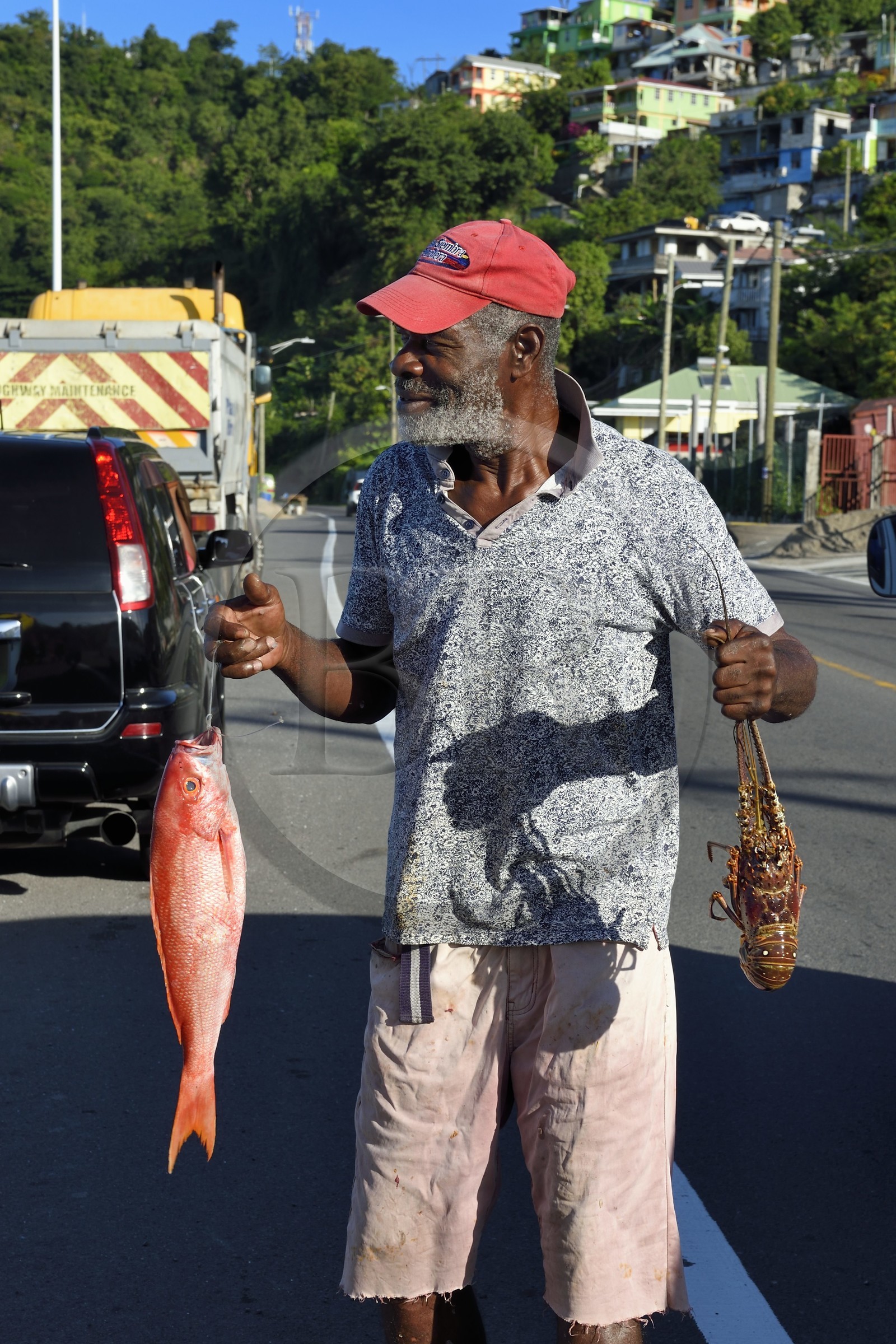 Caraïbes, Ile de la Dominique, la capitale Roseau, vendeur de poissons en bordure de route