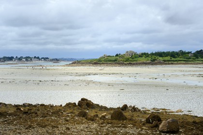 France, Côtes-d'Armor (22), Côte d'Ajoncs, Penvénan, plage de Buguélès à marée basse et l'île de Saint Gildas en arrière plan