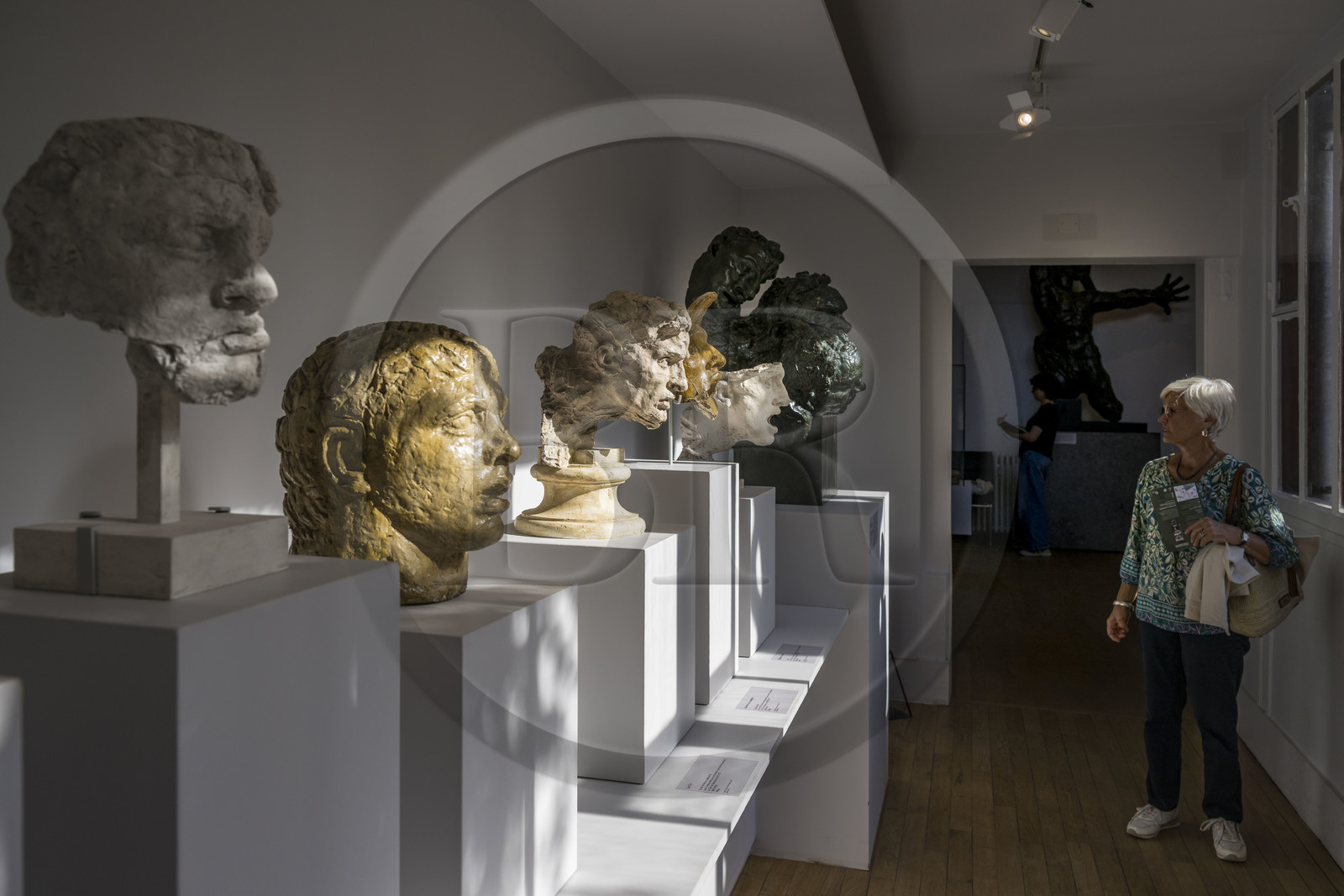 France, Paris, the museum of the sculptor Antoine Bourdelle,