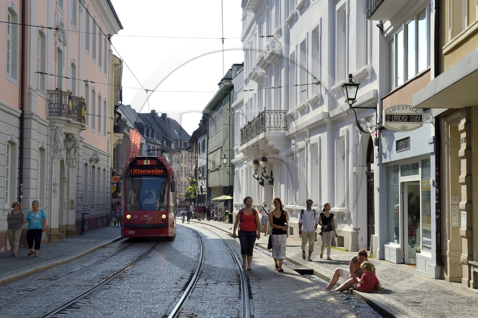 Germany, Baden-Wurttemberg, Freiburg im Breisgau, Salzstrasse, one of the Bächle which are small open channel lining the sidewalks of the old town