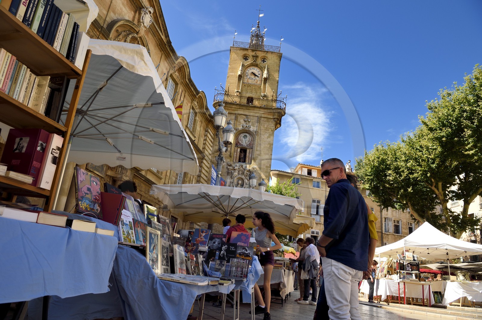 France, Bouches du Rhone, Aix en Provence, place de l'Hotel de Ville, book market