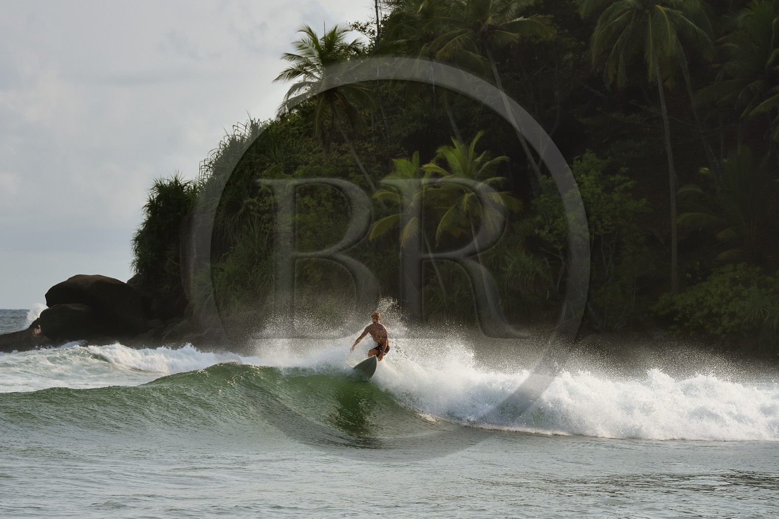 Sri Lanka, Province du Sud, Matara (district), Weligama, plage de Mirissa, surfeur