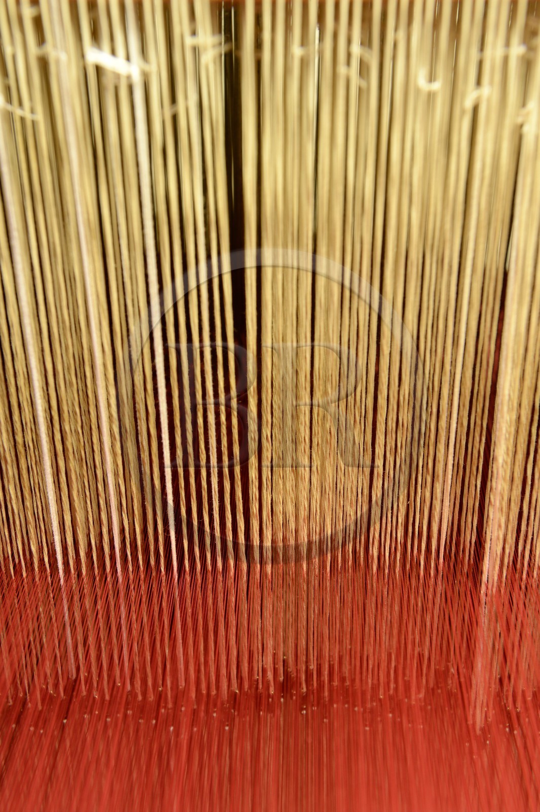 France, Rhône (69), Lyon, quartier de la Croix-Rousse, la Maison des Canuts, métier (à tisser) à la tire antérieur au métier Jacquard