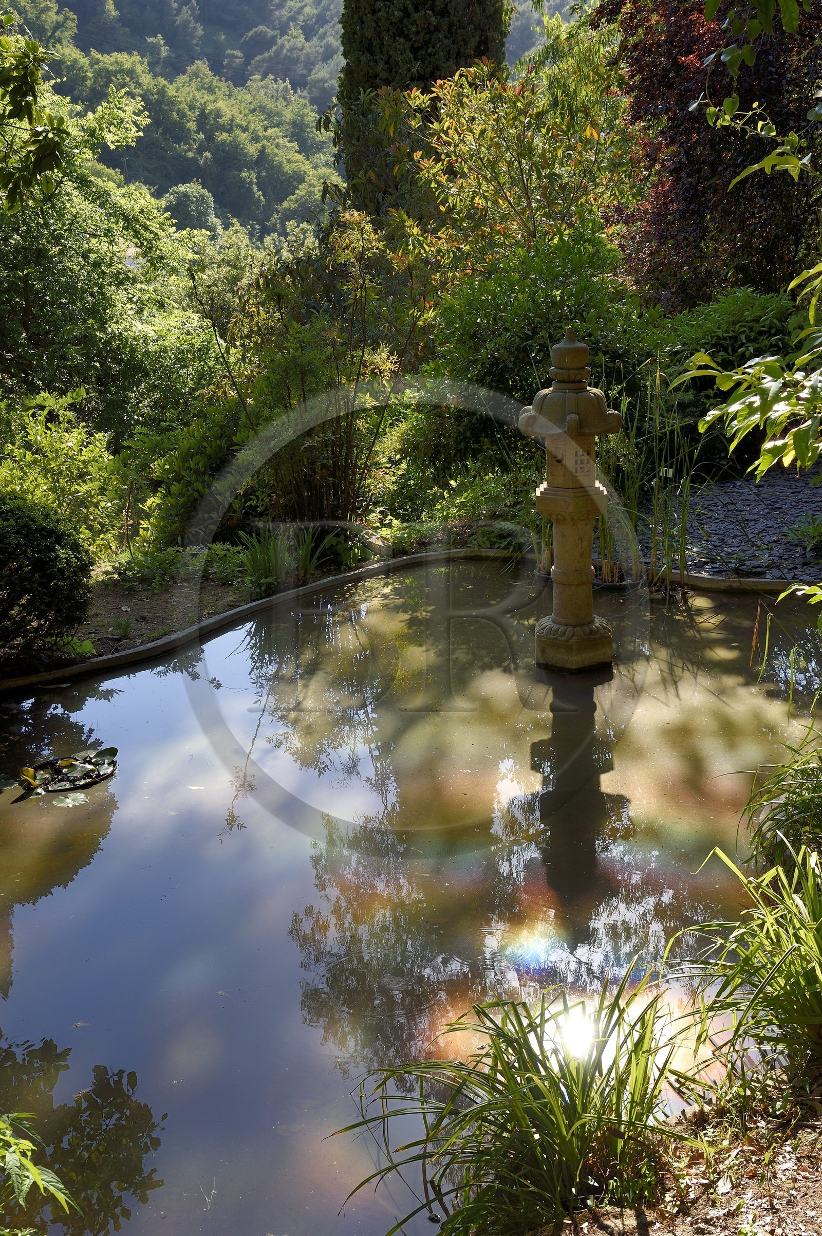 France, Alpes-Maritimes, Menton, Serre de la Madone Garden, basin