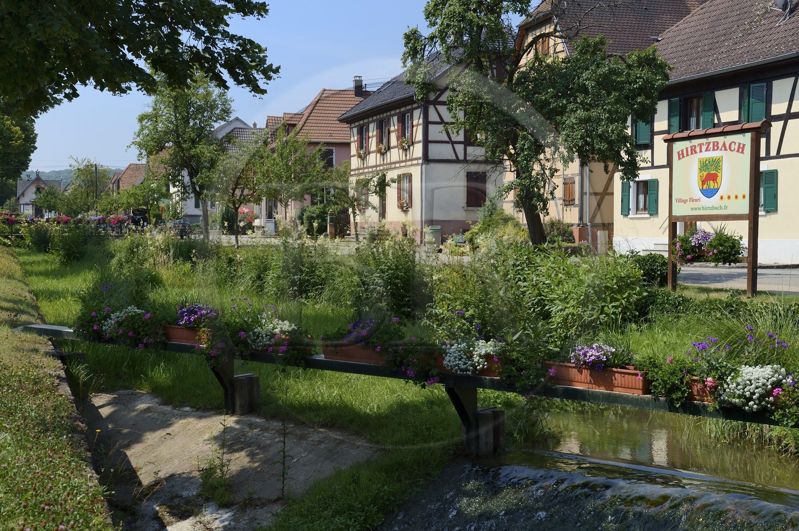 France, Haut-Rhin (68), Sundgau, Hirtzbach, maison à pans de bois dans la rue principale