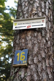 France, Bas Rhin, Mont Saint Odile, hiking the chemins des Chateaux-forts d'Alsace (paths of the castles of Alsace), sign on a tree