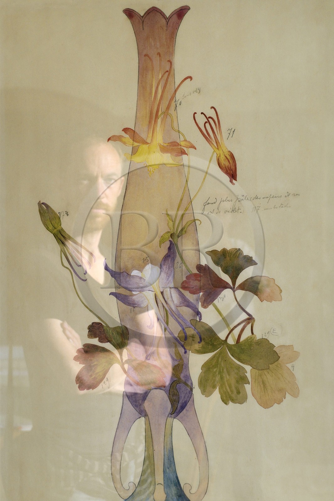 France, Meurthe-et-Moselle (54), Nancy, rue Saint-Jean, ancienne banque Renauld et actuelle BNP Paribas de style Art Nouveau, plan de Emile Gallé pour un vase, portrait de Vincent Noyoux