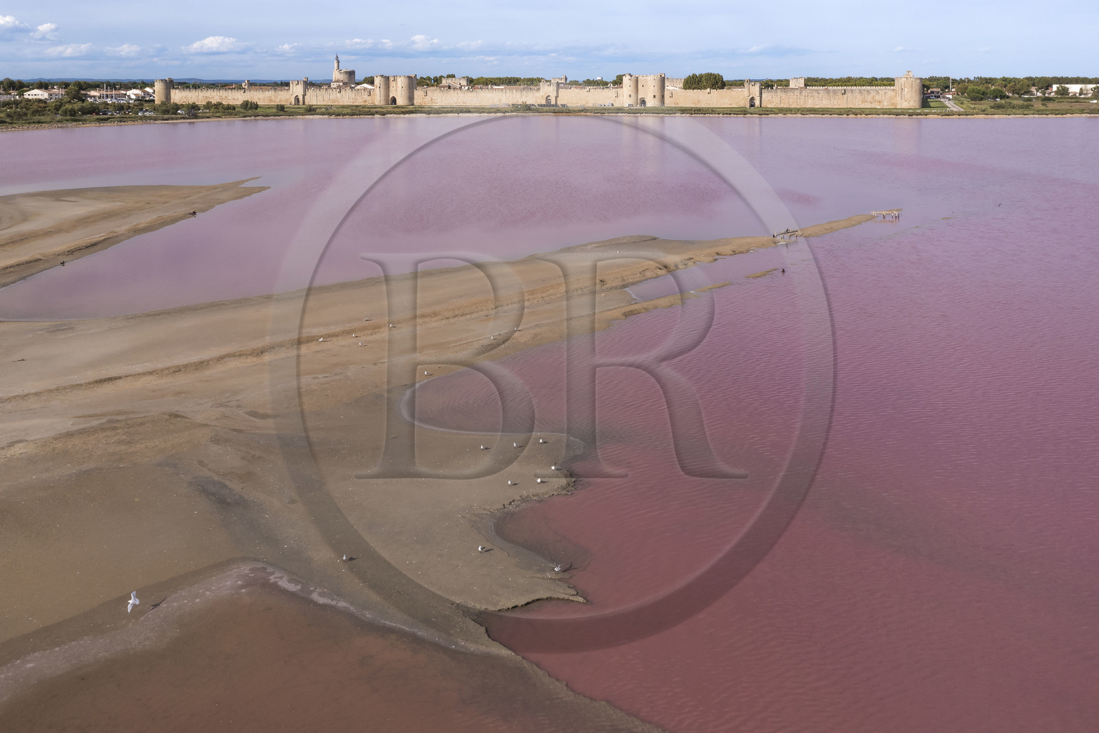 France, Gard, Aigues Mortes, the medieval town surrounded by its ramparts on the edge of the salt marshes (Salins du Midi) (aerial view)