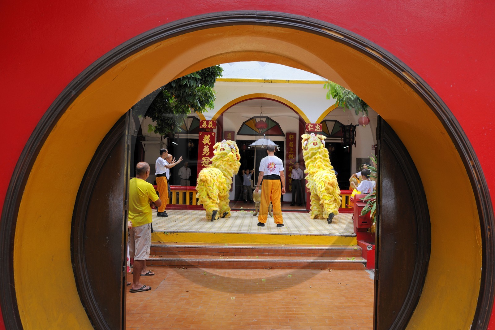 France, île de la Réunion, Saint-Pierre, danse traditionnelle du dragon à l'occasion des fêtes du nouvel an chinois dans un temple