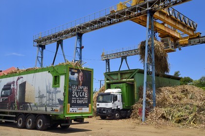 France, Ile de la Reunion, Saint-Joseph, un des 11 centres de réception et de collecte de la canne à sucre aussi appelés Balance, les tracteurs amènent depuis les champs la canne dans des remorques, elle est ensuite pesée et chargée dans de grand camions appelés cachalots pour être acheminée vers l'usine sucrière du Gol