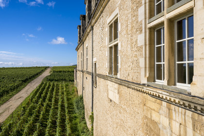 France, Cote d'Or, cultural Landscape of the climates of Burgundy listed as World Heritage by UNESCO, Route des Grands Crus (road of Vintage Wines), vineyard of the Côte de Nuits, Vougeot, the Chateau of Clos de Vougeot