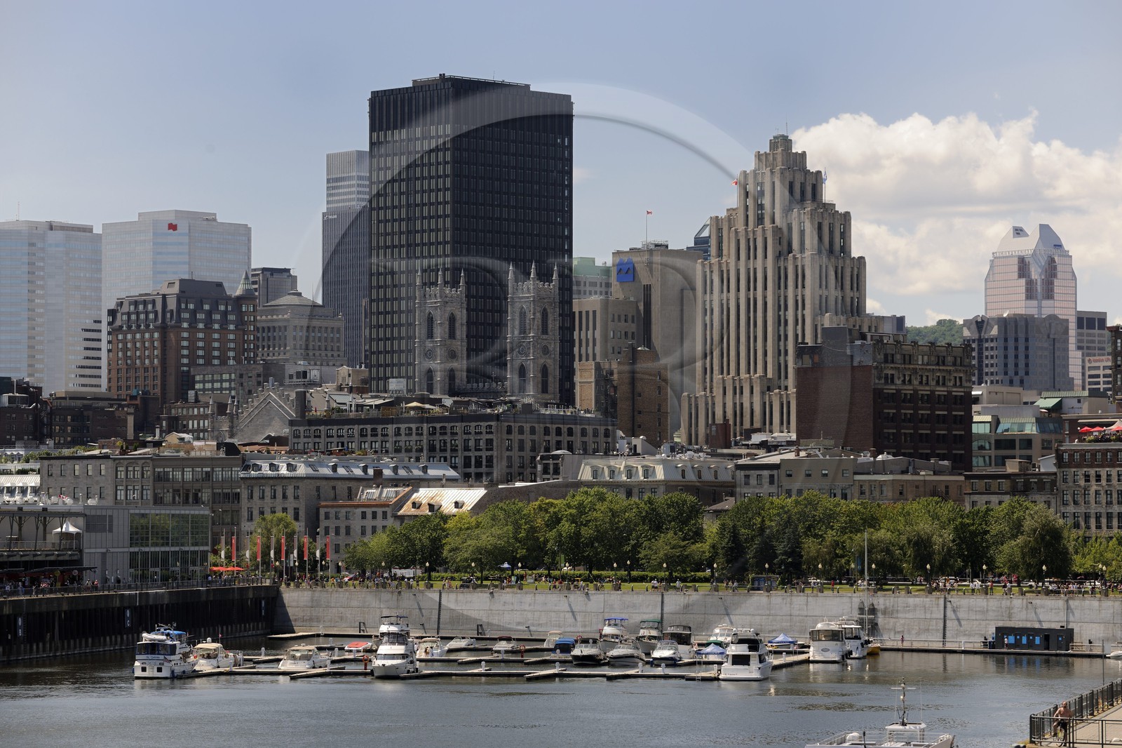 Canada, province de Québec, Montréal, quartier du Vieux-Montréal, panorama sur la ville depuis le bassin de plaisance dans le Vieux-Port