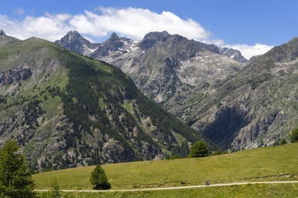 France, Alpes-Maritimes (06), vallée de la Roya, région de Tende à la baisse (col) de Peyrefique (2028 m) et surplombant la vallée de la Casterine, la vallée de Valmasque en arrière plan