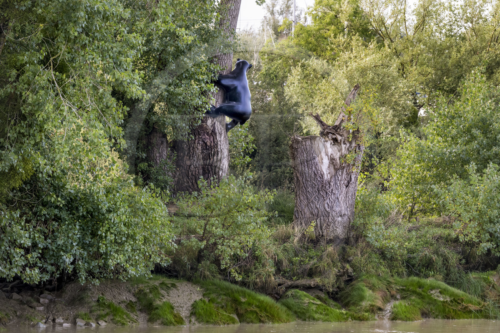 France, Loire-Atlantique (44), Bouguenais, Port Lavigne sur les rives de la Loire, collection d'art contemporain à ciel ouvert Estuaire, The Settlers (“Les Colons”) réalisé par l'artiste américaine Sarah Sze, sculpture d'un ourson qui grimpe sur un arbre