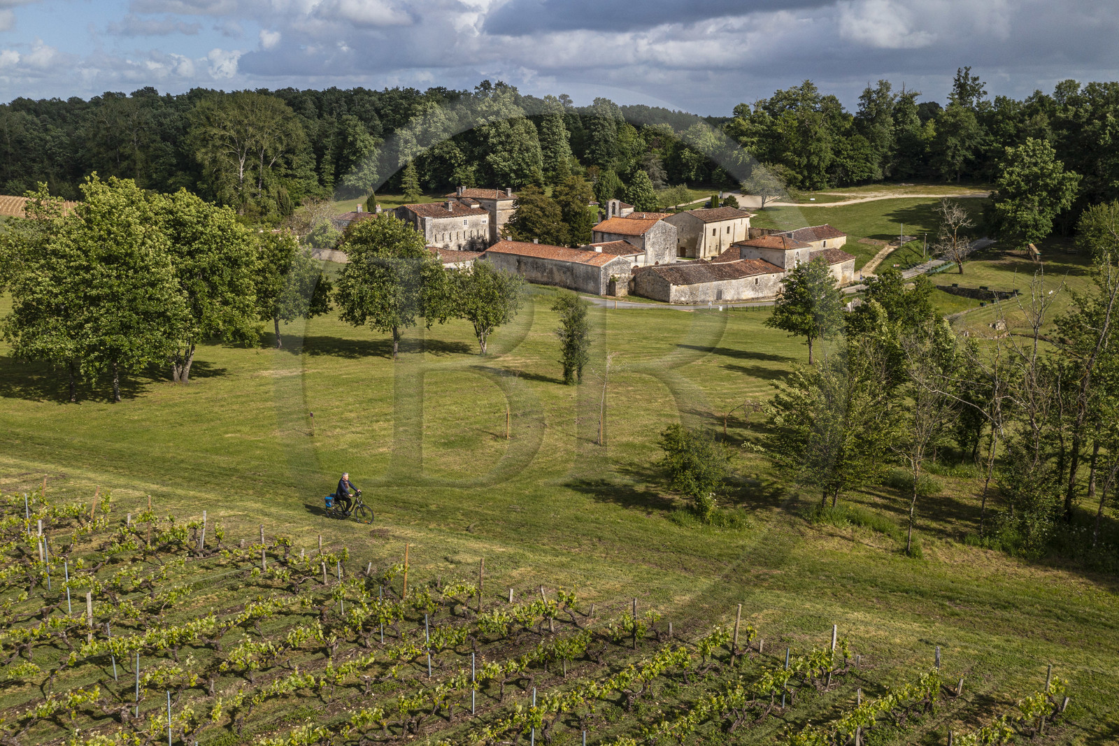 France, Charente-Maritime (17), Saint-Bris-des-Bois, abbaye de Fontdouce, ancienne abbaye bénédictine fondée en 1111 et cycliste dans les vignes faisant la véloroute La Flow Vélo (vue aérienne)