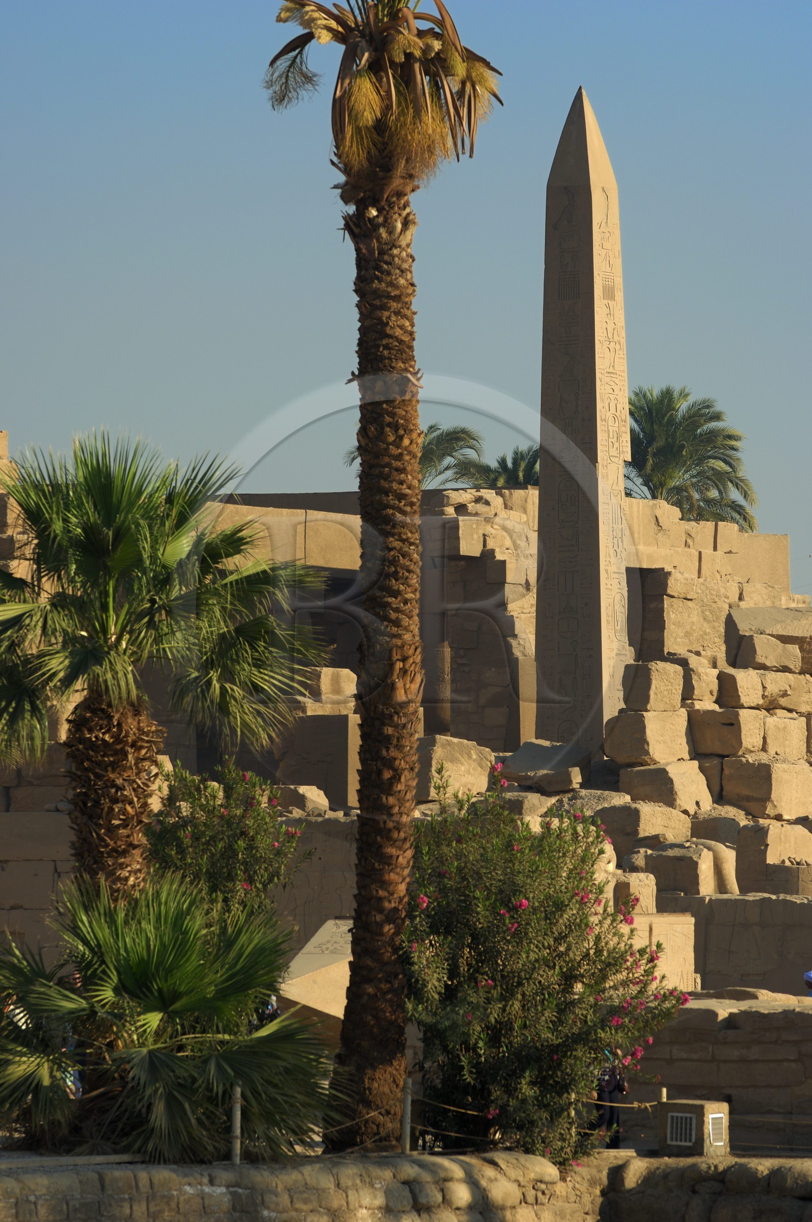 Egypte, Haute Egypte, vallée du Nil, Louxor, Karnak, classé Patrimoine Mondial de l'UNESCO, obélisque de Thoutmosis I