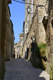 France, Haute-Corse (2B), région de la Casinca en Castagniccia, maisons de schiste dans la rue principale du village de Venzolasca