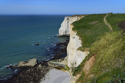 France, Seine-Maritime (76), Pays de Caux, Côte d'Albâtre, Etretat, la falaise d'Aval que longe le GR21