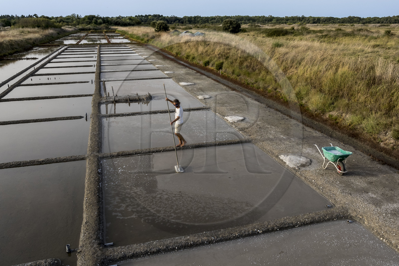 France, Charente-Maritime (17), Ile d'Oléron, Saint-Georges-d'Oléron, cueillette artisanale de la fleur de sel avec une lousse à fleur par le saunier Samuel Barbereau (vue aérienne)