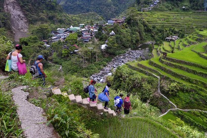Philippines, province d'Ifugao, les rizières en terrasses de Banaue, classées Patrimoine Mondial de l'UNESCO, une famille rejoint le village de Cambulo