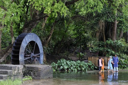 France, île de la Réunion, commune de Saint-Paul, le chemin du Tour des Roches, moulin à eau de La Perrière, la roue est le dernier élément d'un moulin à manioc des années 1820 et radier immergé