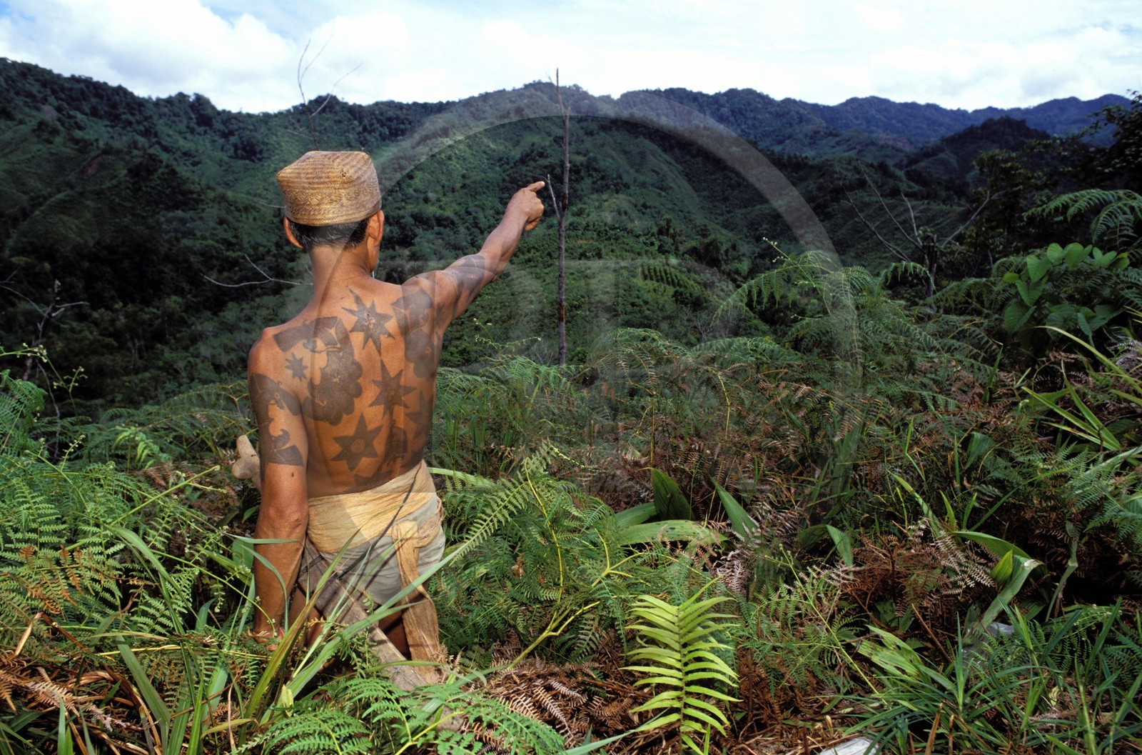 Malaysia, Borneo island, Sarawak, Iban warrior with tattoos (Dayak tribe) showing his hunting field in the primary forest
