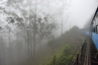 Sri Lanka, Uva Province, the popular scenic train ride through the tea growing hill country between Hatton and Badulla, next to the Horton Plains National Park cloud forest