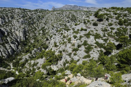 France, Bouches du Rhone, Cassis, the path leading to the En Vau creek (calanque)