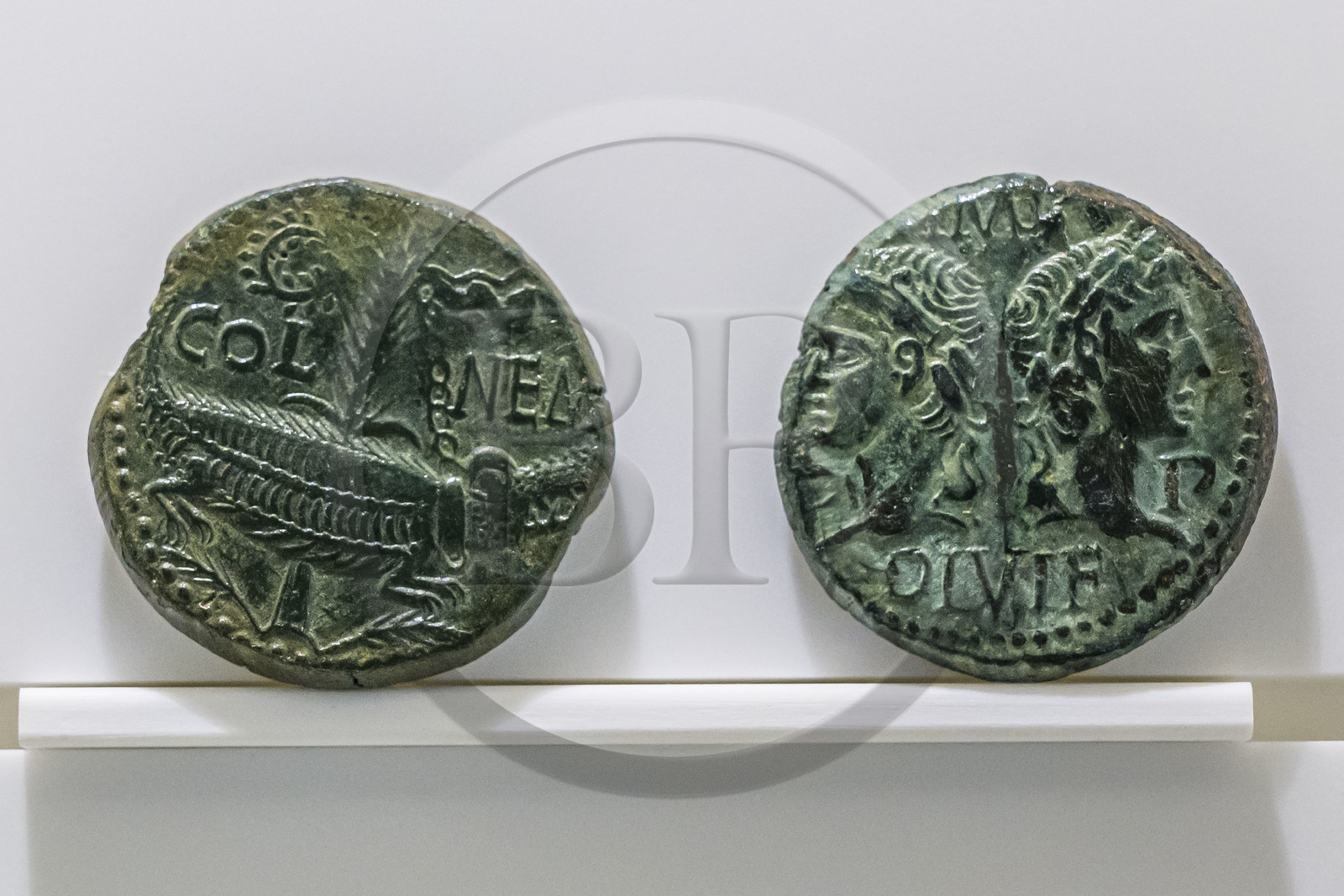 France, Gard (30), Nîmes, Musée de la Romanité, pièce de monnaie en bronze Dupondius dit As de Nimes vers 10-15 après J.-C., avec au droit les profils d’Agrippa et de Tibère et au revers le crocodile enchaîné à la palme