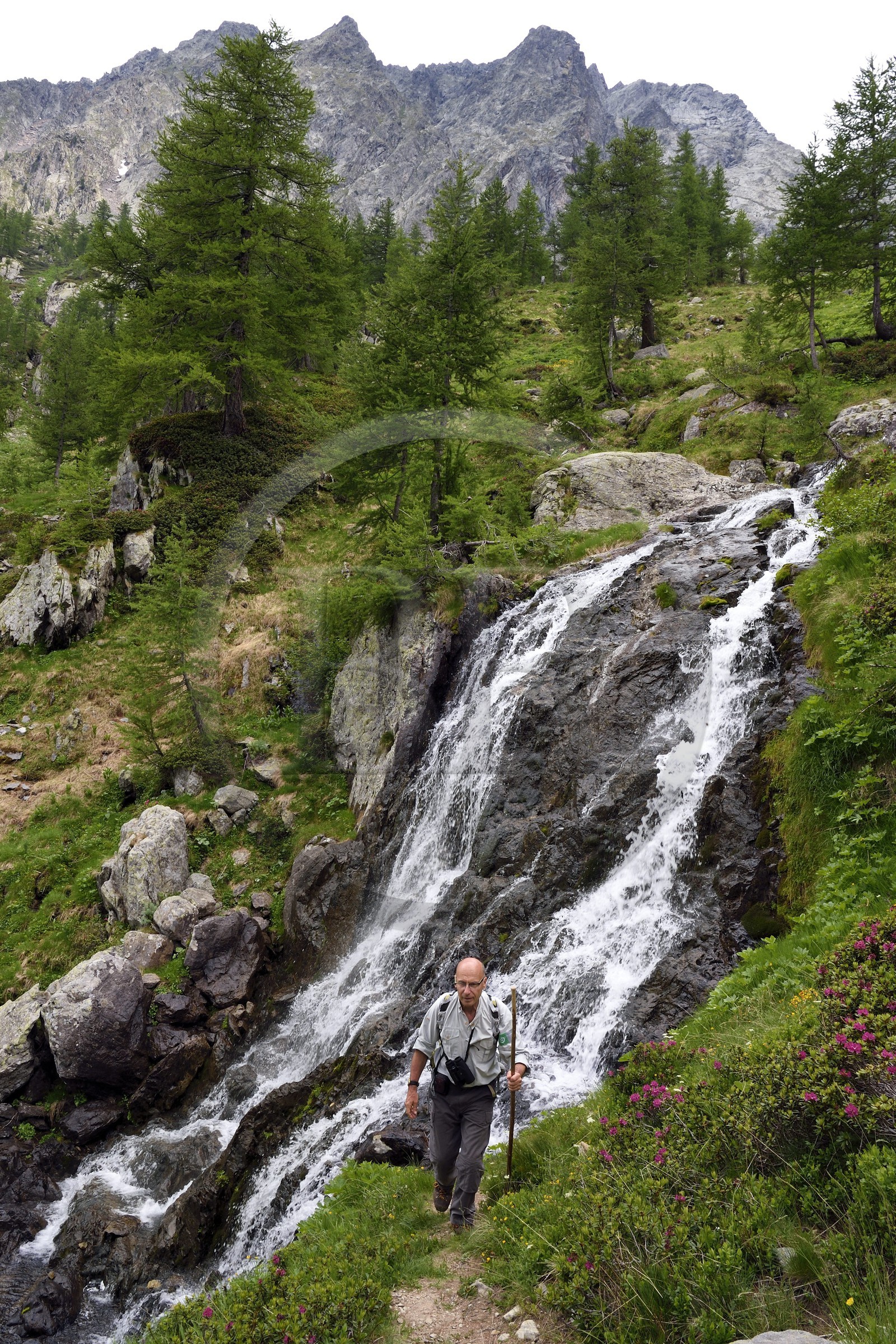 France, Alpes-Maritimes (06), parc national du Mercantour, vallée de la Valmasque, cascade du verrou glaciaire et Alain Lanteri-Minet, guide et ancien garde-moniteur du parc