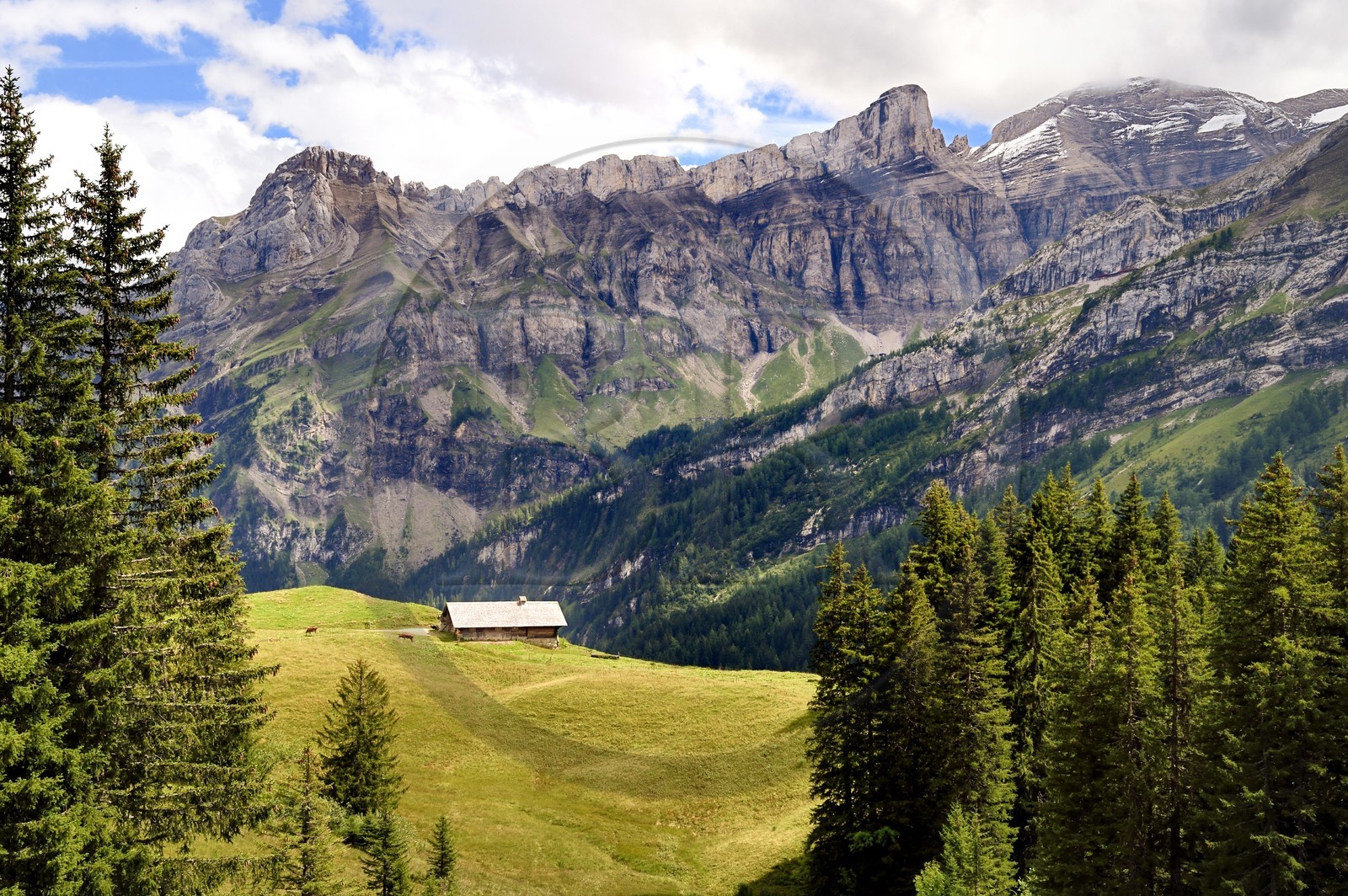 Switzerland, Canton of Vaud, Ormont-Dessus, Les Diablerets, farm to the Lake Retaud above the Col du Pillon and the Schluchhorn mountain in the background
