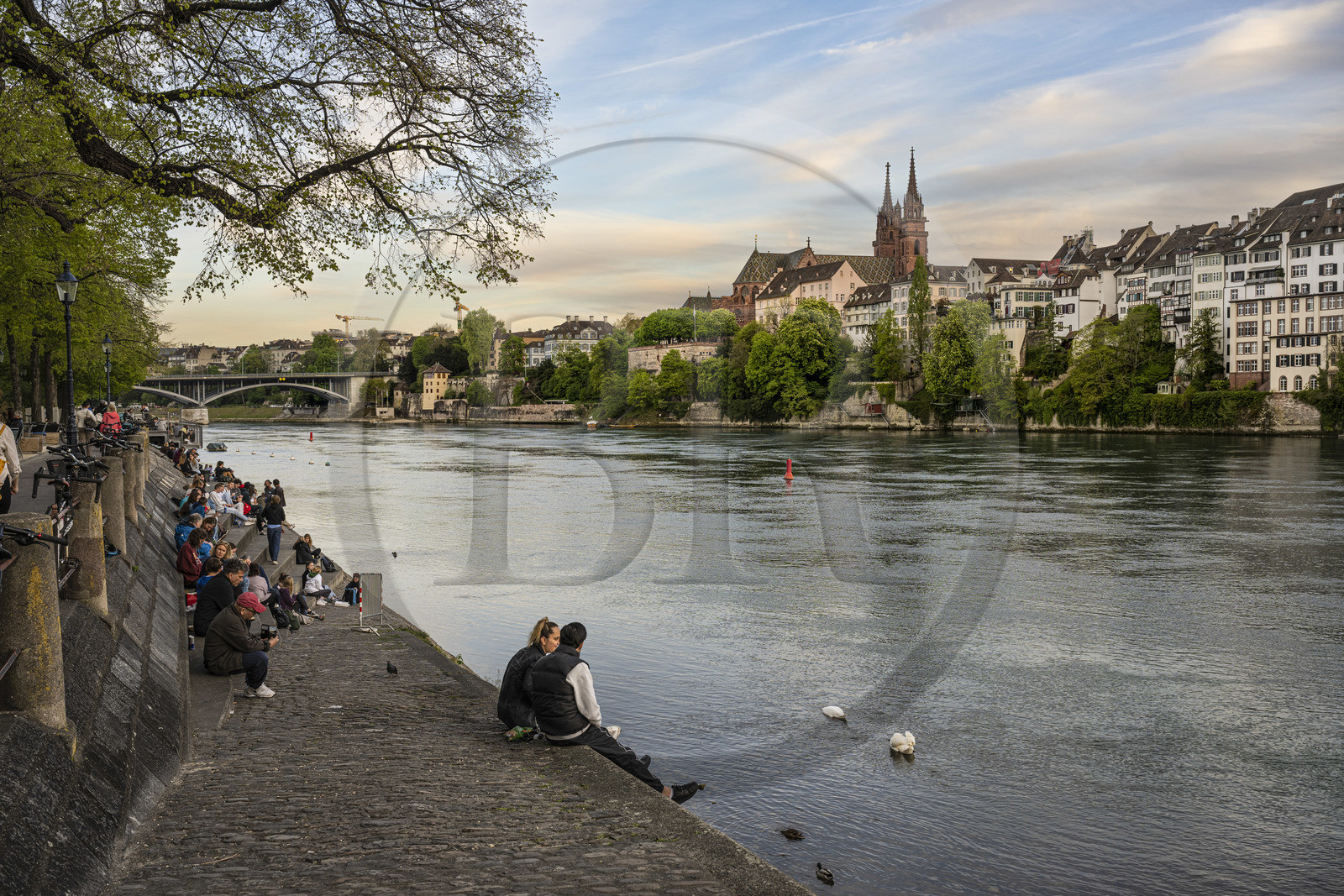 Suisse, Bâle, les quais du quartier du Petit Bâle sur la rive droite du Rhin s'animent à la tombée du soir, la cathédrale protestante Notre-Dame de Bâle (Munster) en arrière plan