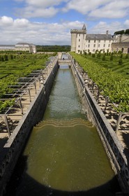France, Indre-et-Loire (37), Vallée de la Loire classée patrimoine mondial de l'UNESCO, Villandry, le château de Villandry et ses jardins, propriété d'Henri et Angélique Carvallo