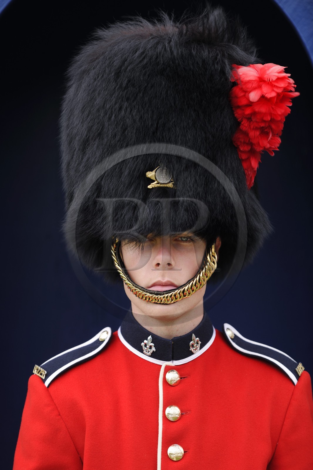 Canada, Province de Québec, la ville de Québec, la Citadelle, soldat montant la garde