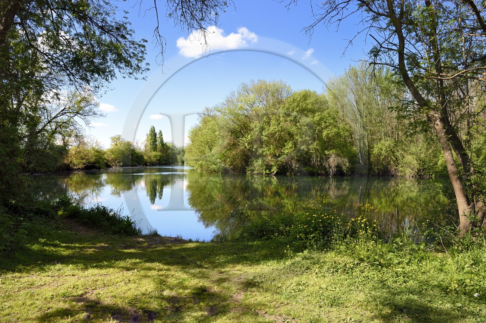 France, Charente (16), la Charente entre Sireuil et Saint-Simeux