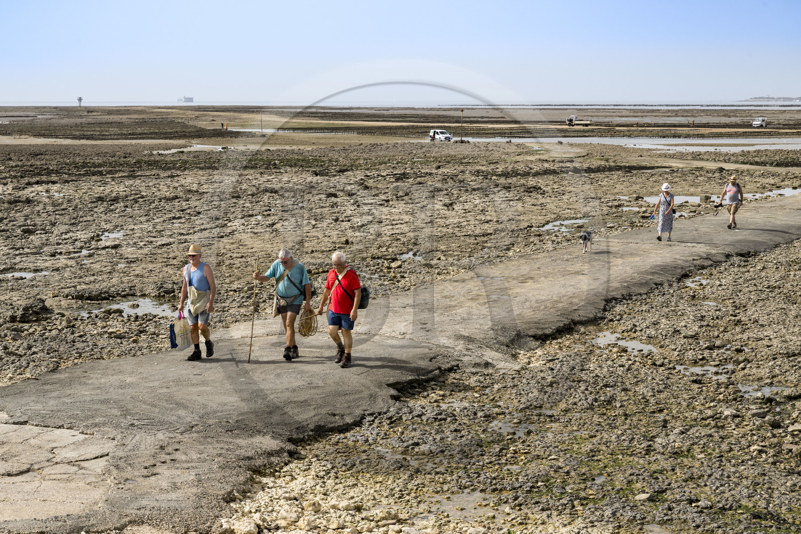 France, Charente-Maritime (17), Port-des-Barques, Ile Madame, pecheurs à pied revenant du plateau des Palles à marée basse