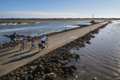 France, Vendée (85), île de Noirmoutier, Barbatre, cyclistes sur le passage du Gois à marée montante, chaussée submersible qui relie l'île au continent à marrée basse (vue aérienne)