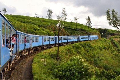 Sri Lanka, Central Province, the popular scenic train ride through the tea growing hill country between Hatton and Badulla, here next to Nanuoya