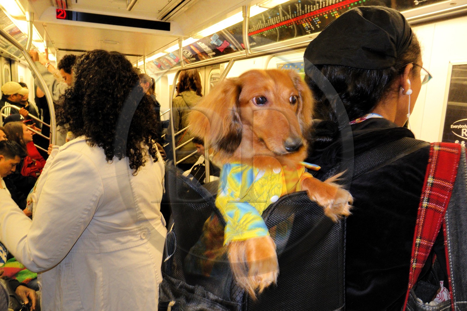 Etats-Unis, New York, Manhattan