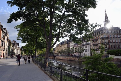 France, Bas Rhin, Strasbourg, old town listed as World Heritage by UNESCO, banks of Ill River quai des Bateliers turned into a meeting place for pedestrians and the cathedral