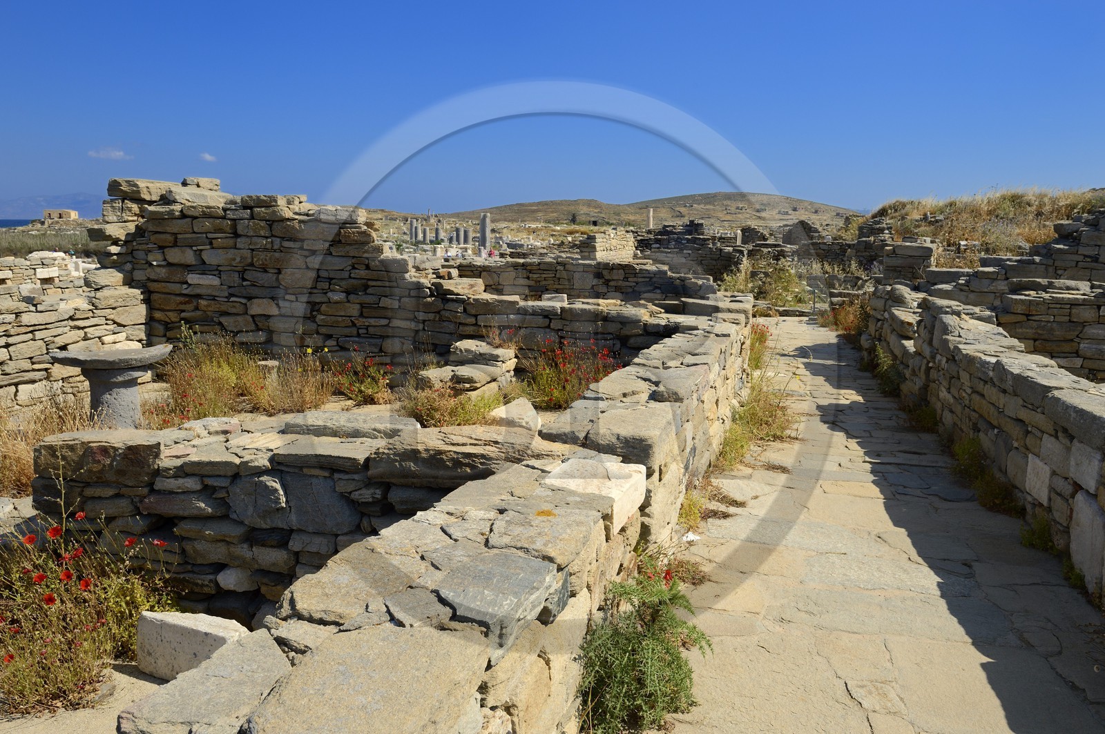 Greece, Cyclades islands, Delos, listed as World Heritage by UNESCO, the archaeological site of Delos, Apollo's Sanctuary, the most ancient city of the Aegean Sea, quarter of the Theatre