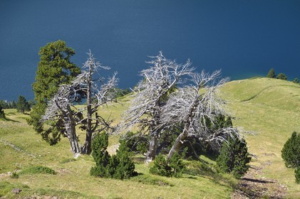 France, Hautes-Pyrénées (65), Saint-Lary-Soulan et Vielle-Aure, randonnée sur une variante du GR10 entre le col de Portet et les lacs de Bastan en bordure de la réserve naturelle de Néouvielle, le lac artificiel de l'Oule