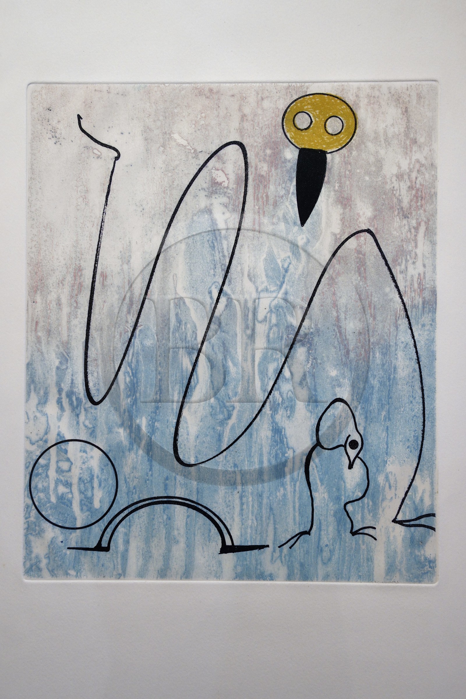 France, Var, Seillans, labelled Les Plus Beaux Villages de France (The Most Beautiful Villages of France), Maison Waldberg contains the donations of Max Ernst, Dorothea Tanning and Stan Appenzeller, for Dorothea Tanning, Oiseau en peril 1 engraving - intermediate edition (1975) by Max Ernst